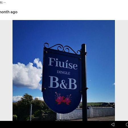 Fiuise B&Bディングル エクステリア 写真